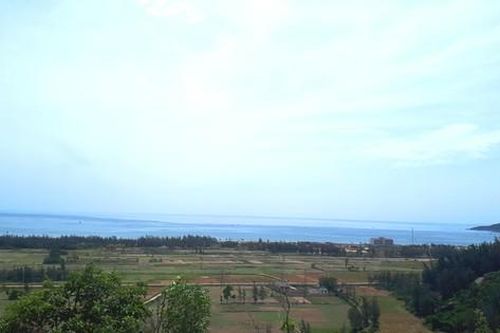 Hiện đại hóa ngành lâm nghiệp và tăng cường tính chống chịu vùng ven biển Hà Tĩnh, Quảng Bình