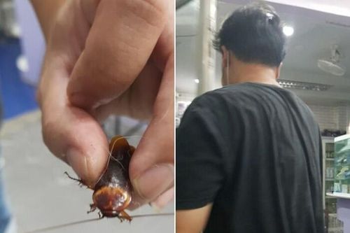 Kỳ dị chuyện bác sĩ thú ý cứu con gián bị giẫm bẹp bên lề đường
