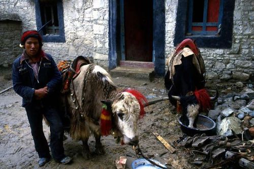 Xứ sở Tây Tạng năm 1987 đặc sắc qua ống kính John Mawer (2)