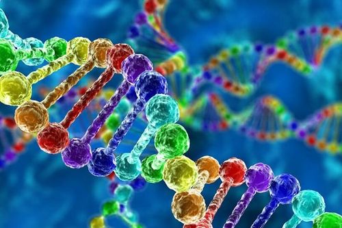 Virus SARS-CoV-2 có thể xâm nhập vào bộ gen người hay không?