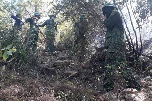 Đồn Biên phòng Quỳnh Phương tham gia khống chế thành công vụ cháy 3.000m2 rừng thông