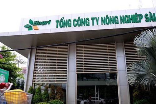 Sai phạm tại Tổng công ty Nông nghiệp Sài Gòn (SAGRI): Đề nghị truy tố 19 bị can