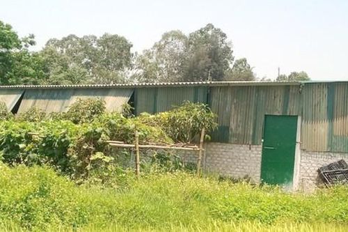 'Điểm mặt' hàng loạt sai phạm về quản lý đất đai ven đô TP Vinh