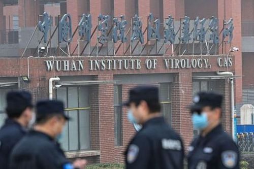 Những virus 'sổng chuồng' nguy hiểm nhất thế giới