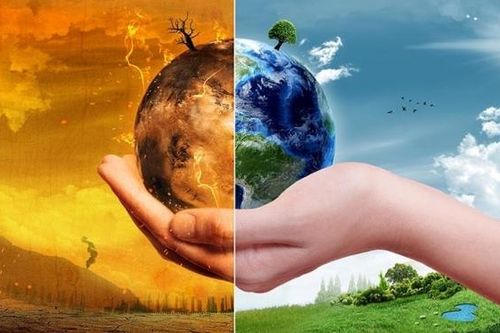 Đâu là giải pháp hữu hiệu cho thảm họa khí hậu toàn cầu?
