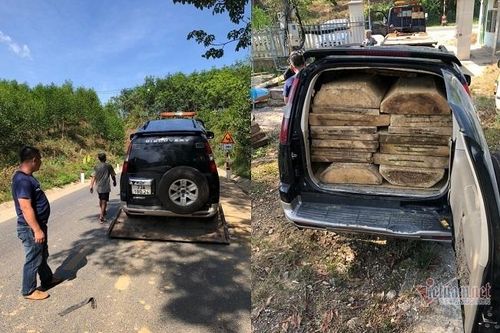 Xe chở gỗ lậu gắn biển giả chạy trốn như phim hành động khi bị truy đuổi