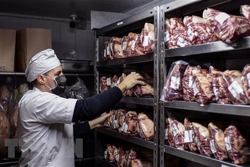 Argentina tạm dừng hoạt động xuất khẩu thịt bò của 12 doanh nghiệp