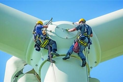 Cần đào tạo gần nửa triệu lao động cho ngành điện gió