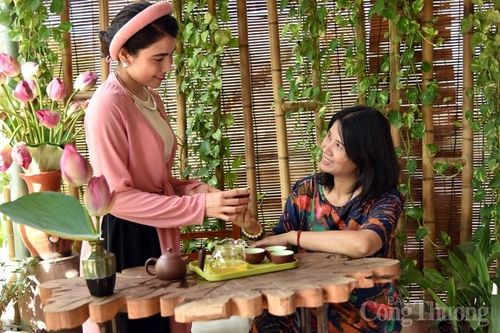 Trà sen Hồ Tây - thức uống thuần khiết của người Việt