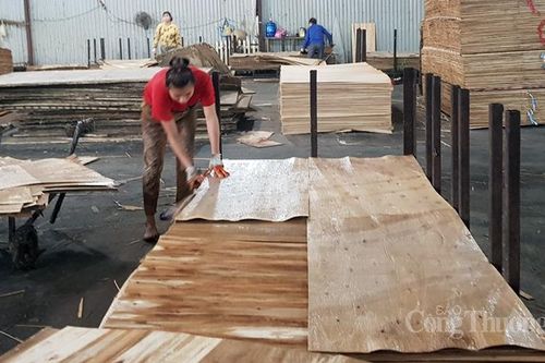 Nhiều 'rào cản' kìm hãm sự tăng trưởng xuất khẩu ngành gỗ dán