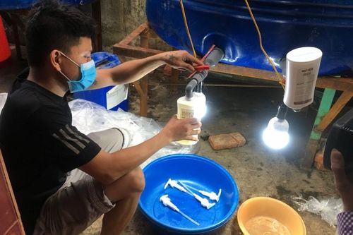 Phát hiện cơ sở sản xuất dầu gội đầu, sữa tắm, nước giặt giả mạo nhiều nhãn hiệu nổi tiếng