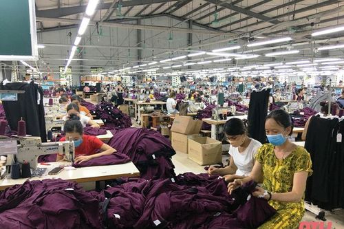 Triển khai hệ thống phần mềm báo cáo và đánh giá nguy cơ lây nhiễm COVID -19 tại các doanh nghiệp