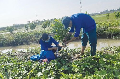 Thắp lên khát vọng làm giàu cho thanh niên