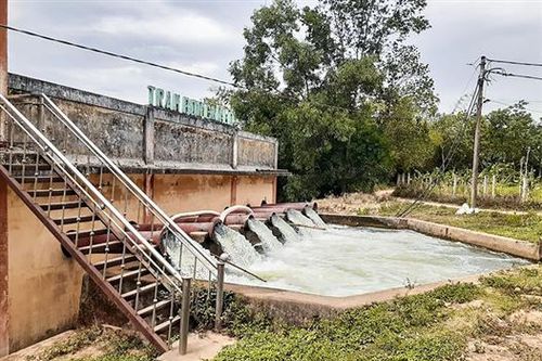 Chuẩn bị các điều kiện để sản xuất vụ hè thu
