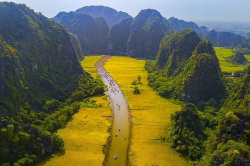 Mơ màng giữa sắc vàng thơ mộng của cánh đồng 'đẹp nhất Việt Nam' mùa lúa chín