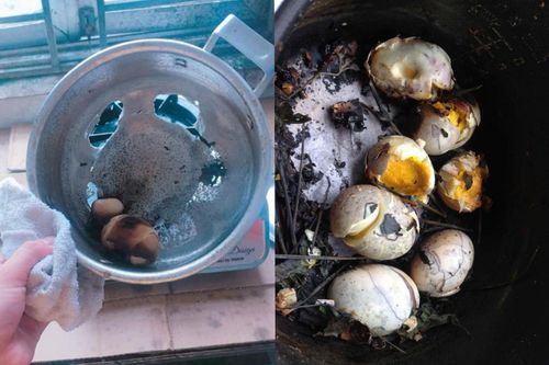 Bằng chứng việc người 'có thù với bếp' nấu ăn thì trứng luộc cũng ra thảm họa