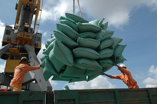 Xuất khẩu gạo vượt bão Covid-19