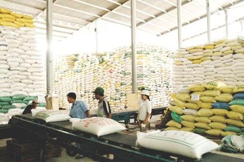 Nhập khẩu gạo giá rẻ tái xuất, ảnh hưởng đến uy tín gạo Việt Nam