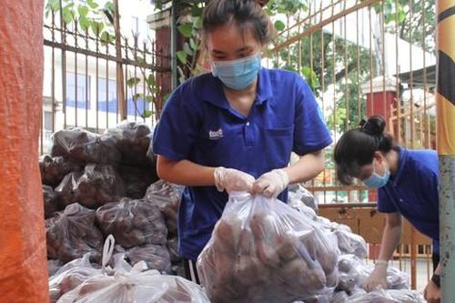 Bạn trẻ TPHCM chung tay tiêu thụ khoai lang Vĩnh Long, Đồng Tháp