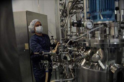 Argentina xem xét khả năng sản xuất vaccine ngừa COVID-19 của Cuba