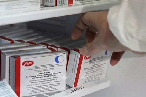 Vaccine CoviVac của Nga đạt hiệu quả phòng bệnh tới hơn 80%