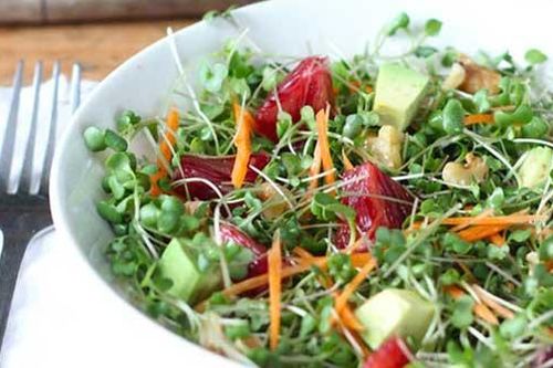 Cẩn trọng với thực phẩm dễ gây ngộ độc