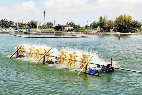 Thêm lực đẩy nào cho ứng dụng công nghệ cao?