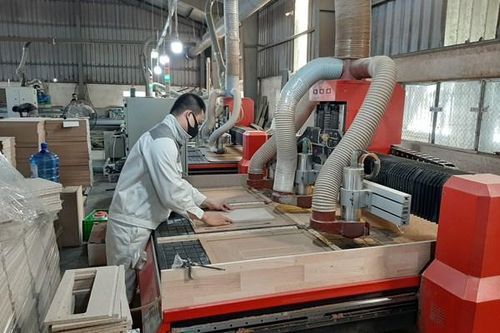 Ngành gỗ hướng đến minh bạch từ nguồn