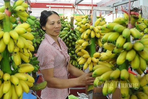 Bộ Công Thương: 'Bắc cầu' đưa nông sản Việt sang Nhật Bản