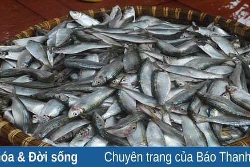 Xu hướng làm nước mắm tại nhà của cư dân vùng có biển