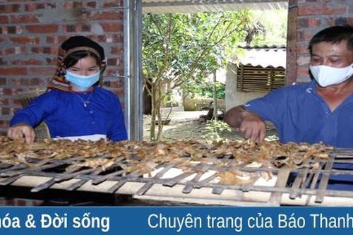 Măng khô Thanh Lâm - sản vật đặc trưng đủ tiêu chí thành sản phẩm OCOP