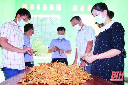 Xây dựng lâm sản măng khô xã Thanh Lâm thành sản phẩm OCOP