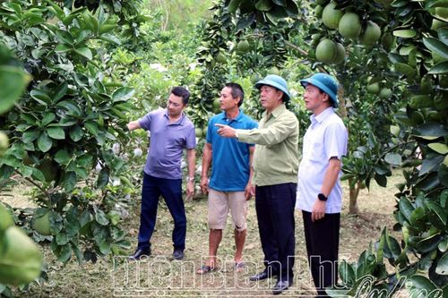 Nhìn thẳng để vươn lên (bài 2)