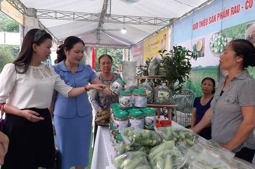 Hà Nội sẽ hỗ trợ các chủ thể bán hàng trong 'Ngày hội livestream đặc sản OCOP'