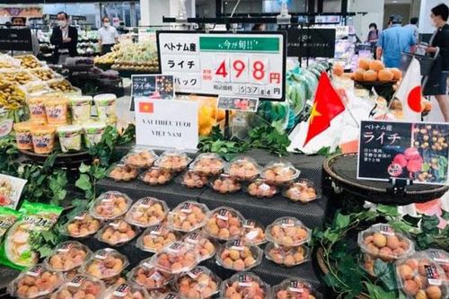 Đẩy mạnh xuất khẩu nông sản, thực phẩm Việt Nam tới Nhật Bản
