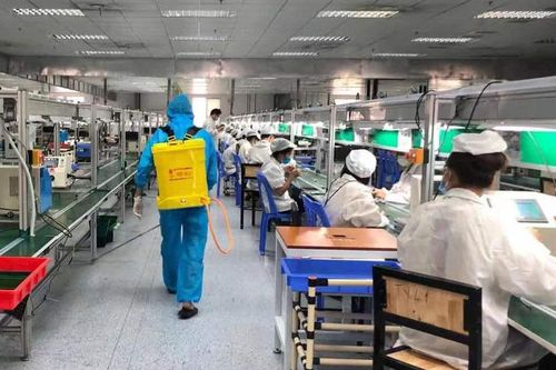 Các nhà máy TP.HCM tìm mọi cách duy trì sản xuất