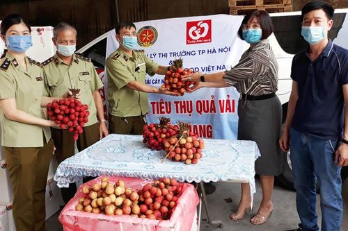 Quản lý thị trường Hà Nội trực tiếp hỗ trợ tiêu thụ vải thiều Bắc Giang