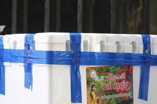 Người dân Đà Nẵng hỗ trợ tiêu thụ hàng chục tấn vải Bắc Giang