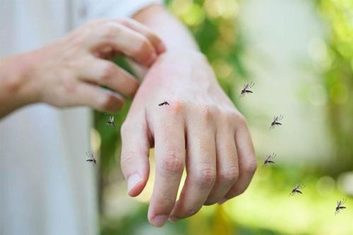 Đeo vật này trên người, chàng trai choáng váng khi không con muỗi nào dám đốt