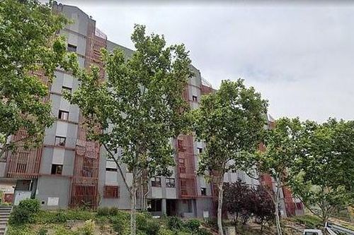 Tây Ban Nha: Cụ bà nghi qua đời vì COVID-19, bị mèo cưng rỉa một phần cơ thể