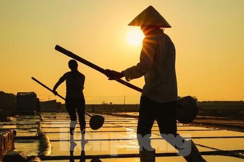 Đẹp ngỡ ngàng bình minh trên cánh đồng muối xứ Nghệ