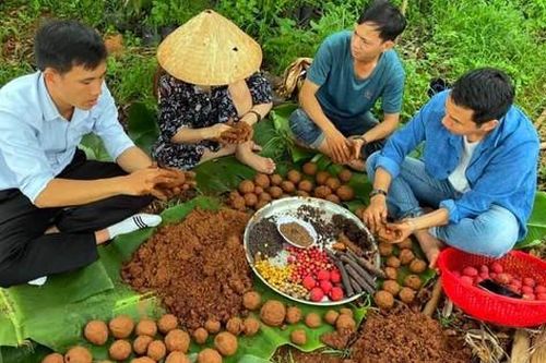 Nhóm bạn trẻ Đắk Lắk phủ xanh đất trống với 'bom hạt giống'