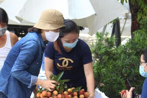 Người dân Đà Nẵng đội nắng hỗ trợ tiêu thụ hàng chục tấn vải Bắc Giang