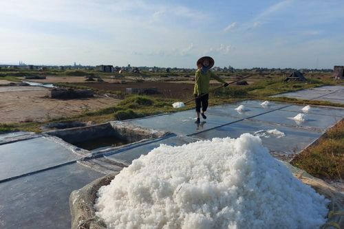 Diêm dân Nghệ An quần quật làm việc giữa trưa nắng 40 độ