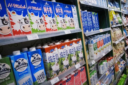 Trung Quốc đối mặt 'cơn khát' sữa trước thách thức không có đủ bò