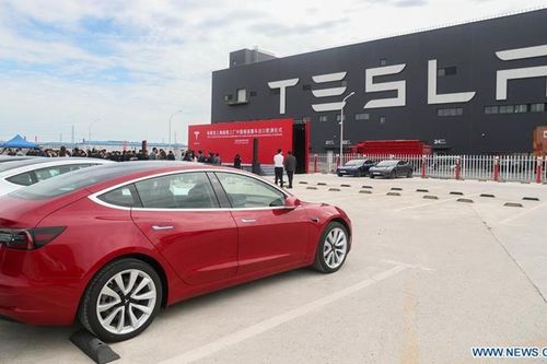 Bị lỗi kỹ thuật, xe Tesla nhốt chủ nhân giữa trời nắng suýt chết ngạt