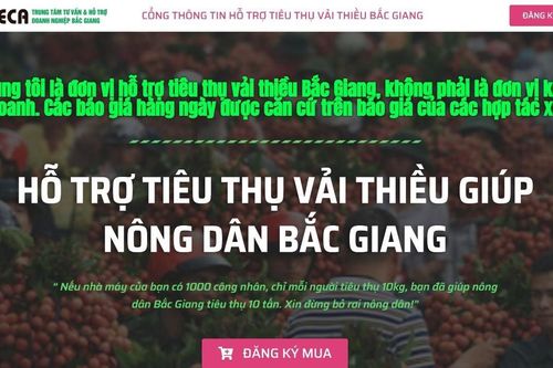 Bắc Giang ứng dụng chuyển đổi số kêu gọi hỗ trợ tiêu thụ vải thiều