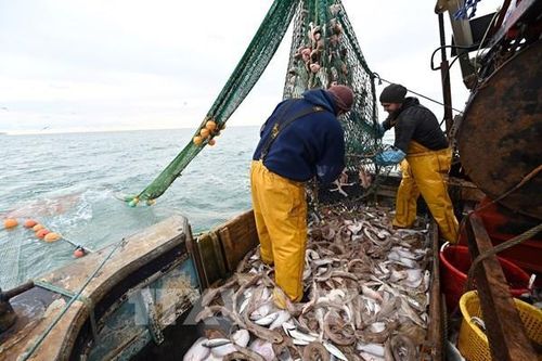 EU và Anh đã đạt được thỏa thuận về quyền đánh bắt cá năm 2021