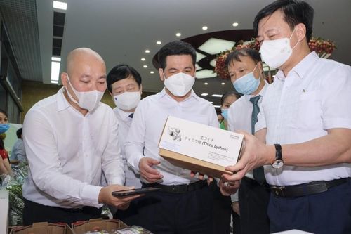 Vải thiều vào Singapore: Cửa ngõ ra thế giới