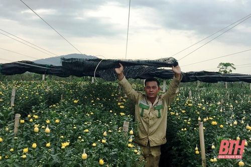 Nông dân gồng mình chống nóng cho cây trồng